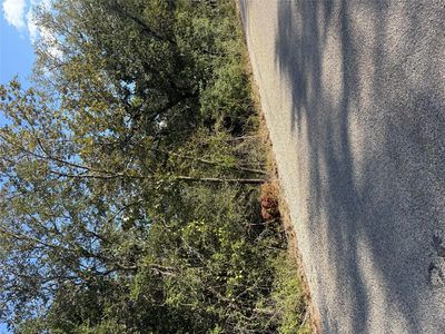 Lot 189 Kaelupulu Dr — photo 2