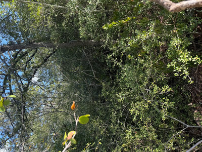 Lot 189 Kaelupulu Dr — photo 5