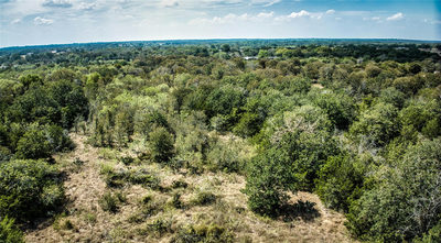 TBD Dale. Ln — photo 2