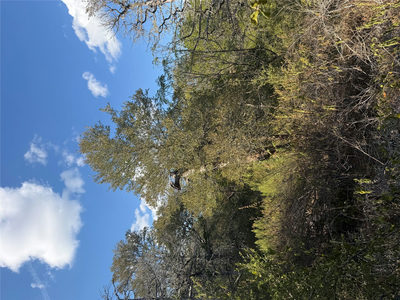 Lot 539 Palikea Cir — photo 2