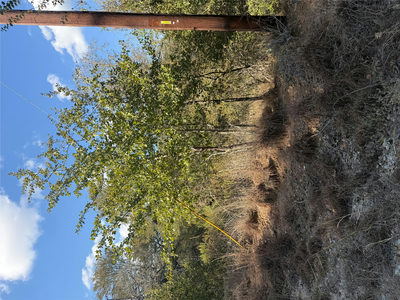 Lot 539 Palikea Cir — photo 5