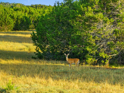0 Hays Country Acres Rd — photo 2