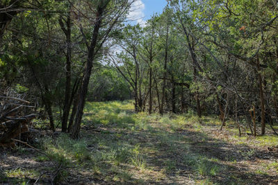 601 Mount Olive School Rd — photo 2