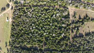 000 Charles Burnes Ln — photo 4
