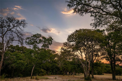124 Sea Smoke Cv — photo 3