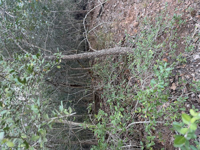 Lot 376 Palikea Cir — photo 2