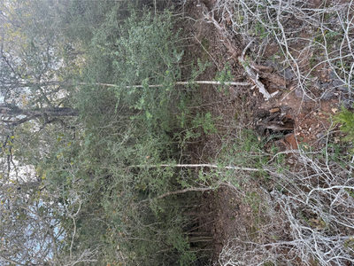 Lot 376 Palikea Cir — photo 5