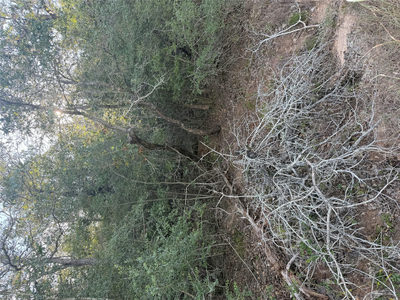 Lot 376 Palikea Cir — photo 4