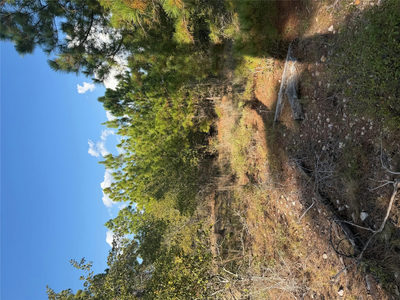 Lot 702 Oahu Ct — photo 3