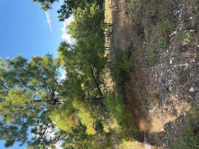 Lot 702 Oahu Ct — photo 2