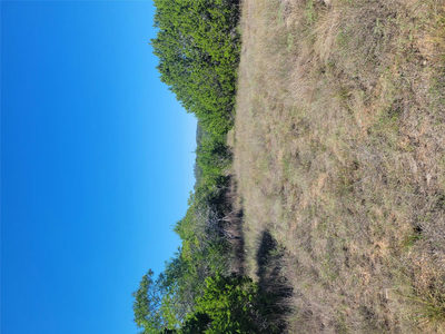 628 Bonita Dr — photo 4
