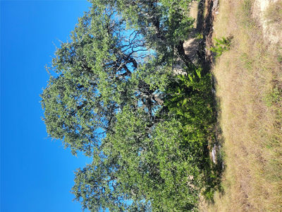 628 Bonita Dr — photo 3