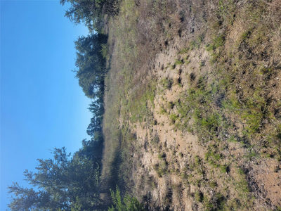 648 Bonita Dr — photo 5