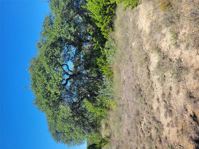 648 Bonita Dr — photo 4
