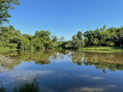 17800 E FM 2268 — photo 2
