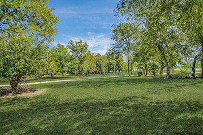 155 Contrails Way — photo 5