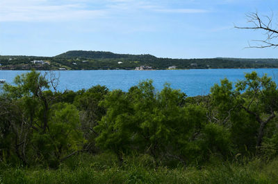 10430 Ranch Road 2341 Rd — photo 3