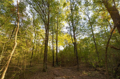 12424 Red Hill Rd — photo 2