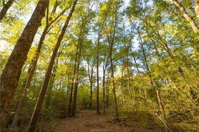 12424 Red Hill Rd — photo 4