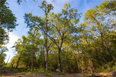 12416 Red Hill Rd Rd — photo 2