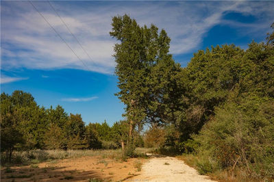 12416 Red Hill Rd Rd — photo 5
