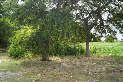 310 Highway 290 #D Hwy W #D — photo 2