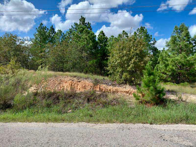 Lot 3 Tall Forest Dr — photo 3