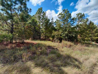 Lot 3 Tall Forest Dr — photo 5