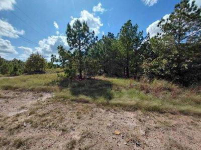 Lot 3 Tall Forest Dr — photo 4