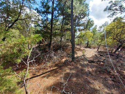 Lot 6 & 7 Wahane Ln — photo 4