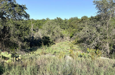 TBD Mountain Dew Rd. — photo 4
