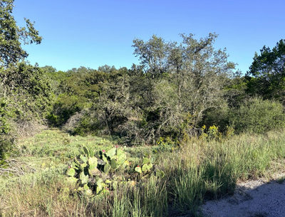 TBD Mountain Dew Rd. — photo 3