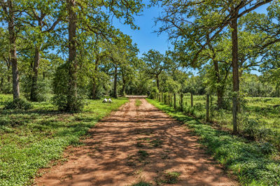 1208 Jeddo Rd — photo 2