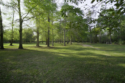 1815 Fm 82 — photo 3