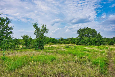 415 Spaniel Hill Rd — photo 4