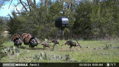 415 Spaniel Hill Rd — photo 5
