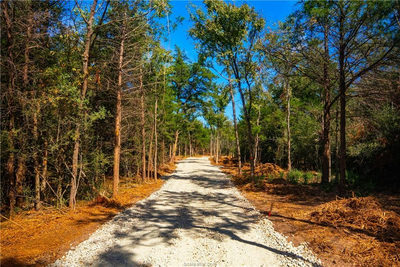 12504 Red Hill Rd — photo 3