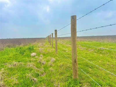 TBD Tract 13 County Road 210 — photo 4