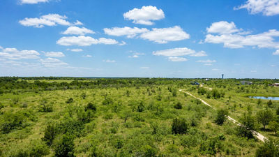2500 NE County Road 466 Dr — photo 3