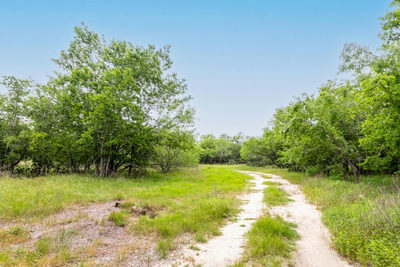 000 San Marcus Hwy — photo 5