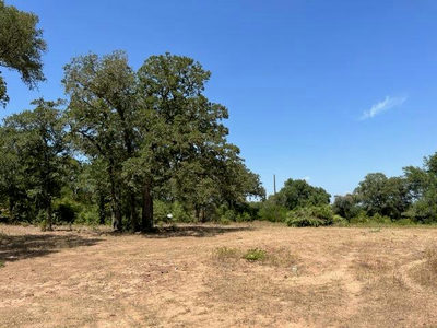 452 Wilhelm Way — photo 3