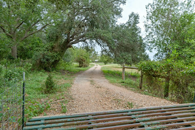 1727 FM 2503 — photo 5