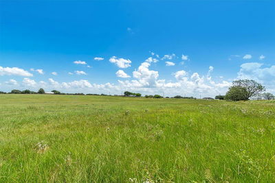 000 Old Cuero Rd — photo 2