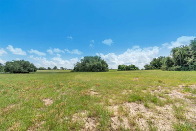 000 Old Cuero Rd — photo 5