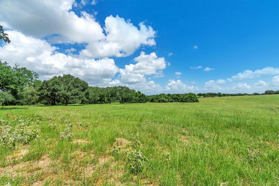 000 Old Cuero Rd — photo 5