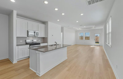 720 Rubber Tree Way — photo 3
