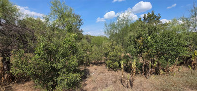 Lot #64 Wesley Ridge Dr — photo 5