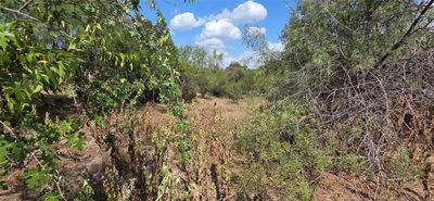 Lot #64 Wesley Ridge Dr — photo 4