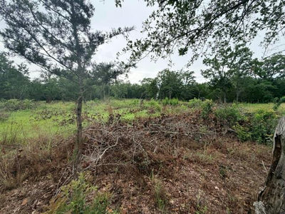 000 McDonald Ln W — photo 4