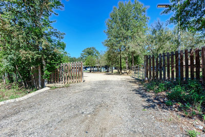 181 Waugh Way — photo 4